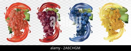 Mettre les raisins. Les raisins de table blanc, rouge, bleu foncé avec splash. Raisins sur fond transparent. Les fruits et les éclaboussures. Vector illustration Illustration de Vecteur