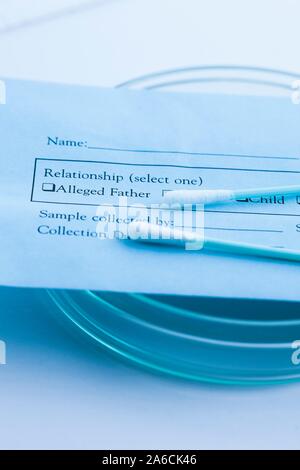 Test ADN de paternité. Les tests génétiques à l'aide d'un kit de test à domicile avec des tampons de coton stérile. L'écouvillon est utilisé pour recueillir un échantillon de cellules de la muqueuse de la bouche. L'acide désoxyribonucléique (ADN) est extrait des cellules et analysées afin de déterminer la séquence génétique. Les tests génétiques peuvent être utilisées pour établir la paternité, pour identifier les criminels ou pour déterminer si quelqu'un est prédisposé à une maladie. Banque D'Images