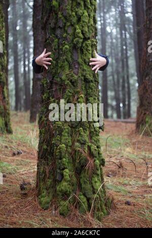 Personne embrassant un tronc d'arbre. Banque D'Images