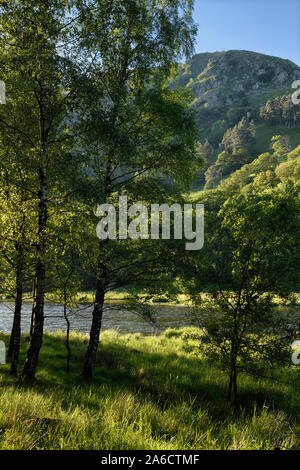 Cicatrice Nab montagne sur la lac de Rydal Water River Rothay à Rydal sidelit avec arbres et herbe Parc National de Lake District Cumbria England Banque D'Images