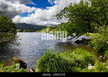 Rive du lac Rydal Water sur River Rothay à Rydal Ambleside Cumbria England dans Lake District National Park Banque D'Images