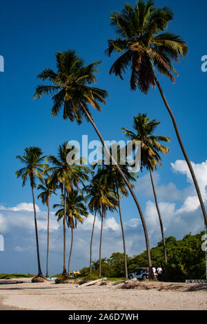 La plage de Pontal de Maracaipe, une plage, près de la ville de Porto de Galinas, de l'État de Pernambuco, Brésil. Banque D'Images