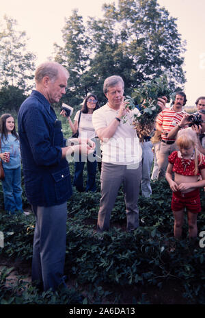 Le candidat démocrate à la présidence Jimmy carter et le sénateur et astronaute John Glenn font le tour de la ferme d'arachides de carter. Carter interviewe Glenn pour le rôle de son vice-président colistier en 1976. Carter montre à Glenn une usine d'arachide. Banque D'Images