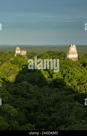 Voir au coucher du soleil de temples I, II et III de Temple IV dans le site archéologique maya de parc national de Tikal, Guatemala, avec le Temple de l'ombre IV. Banque D'Images