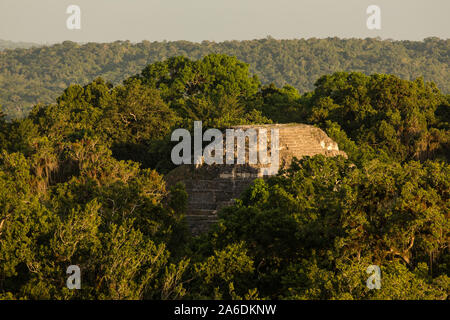 Au coucher du soleil Vue de la pyramide du monde perdu de Temple IV dans le site Maya de parc national de Tikal, Guatemala. Site du patrimoine mondial de l'UNESCO. Banque D'Images