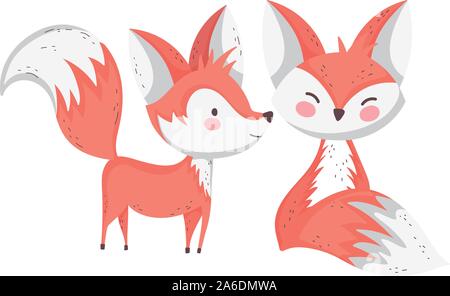 Cute cartoon renards animaux sur fond blanc vector illustration Illustration de Vecteur