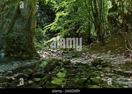 L'été à pied dans le dédale de Teteven avec hauts sommets, des Balkans et de la rivière falaise moussue, Stara Planina, Bulgarie Banque D'Images