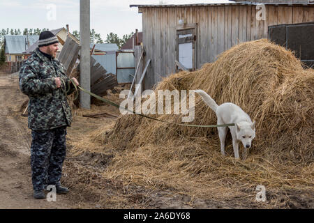 Un homme en salopette pour une promenade avec un chien Banque D'Images