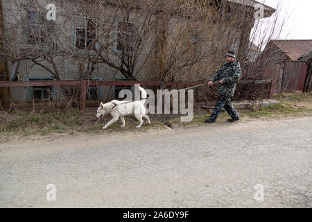 Un homme en salopette pour une promenade avec un chien Banque D'Images