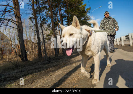 Un homme en salopette pour une promenade avec un chien Banque D'Images