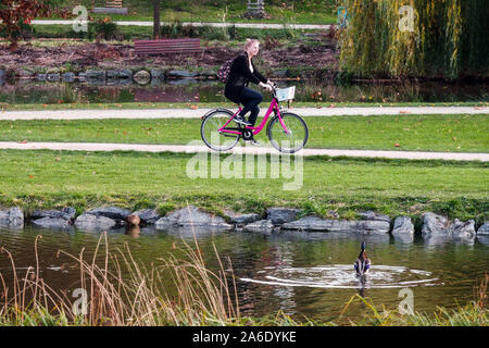 Femme sur un vélo de location cycliste seul automne dans le parc de la ville Stromovka Prague Holesovice sentier cycliste simple Banque D'Images