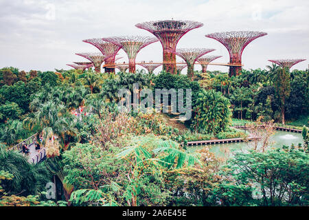 Singapour, Singapour - Mars 2019 : Supertrees dans des jardins par le bay, Singapour Banque D'Images