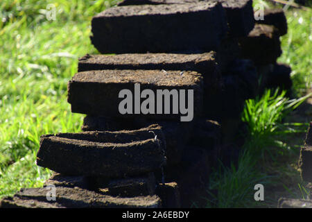 Close-up de briquettes de tourbe sur pile, pile de fresh vintage des blocs de tourbe dans soleil d'automne Banque D'Images