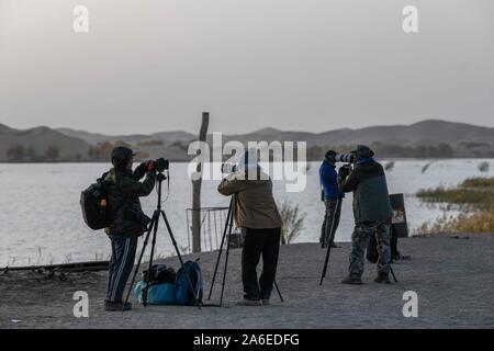 Yuli, la Région Autonome Uygur du Xinjiang. 25 octobre, 2019. Prendre des photos de touristes dans le lac Lop Yuli Comté, nord-ouest de la Chine, la Région autonome du Xinjiang Uygur, le 25 octobre 2019. Credit : Zhao Ge/Xinhua/Alamy Live News Banque D'Images