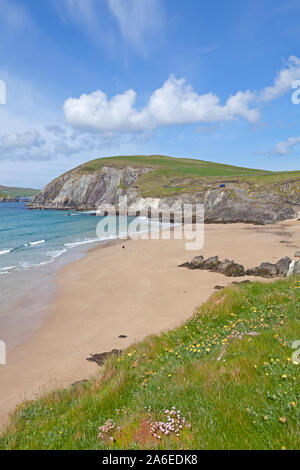 Coumeenoule Beach à Slea Head sur la péninsule de Dingle, République d'Irlande. Banque D'Images