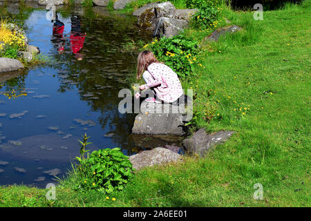 Petite fille jouant près d'un étang dans le parc Laugardalur à Reykjavik, Islande Banque D'Images