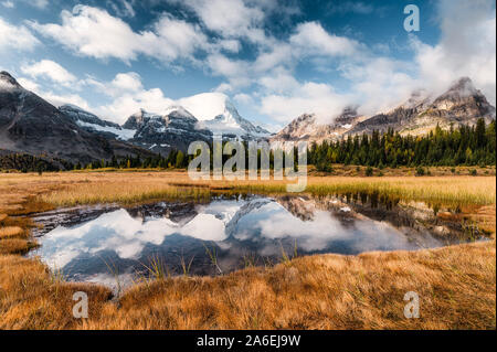 Mount Assiniboine la réflexion sur l'étang à golden meadow à British Columbia, Canada Banque D'Images