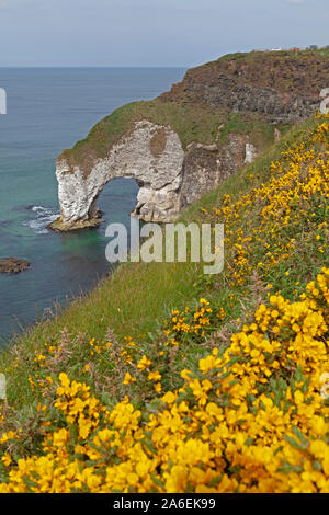 Une arcade en falaises blanches près de Portrush dans le comté d'Antrim, en Irlande du Nord. Banque D'Images