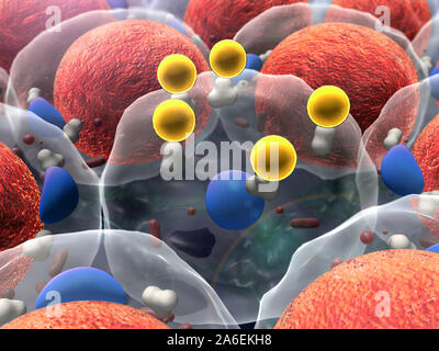 Domaine des cellules graisseuses, de haute qualité de rendu 3D de cellules adipeuses, champ de cellules, la division cellulaire, image microscopique de cellules, rendu 3D, cellules, vidéo médicale Banque D'Images