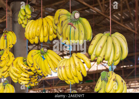 Bananes sur un marché d'Agadir, au Maroc Banque D'Images