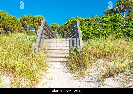 Plus d'escalier en bois et d'herbe des dunes de sable à la plage en Floride, USA Banque D'Images