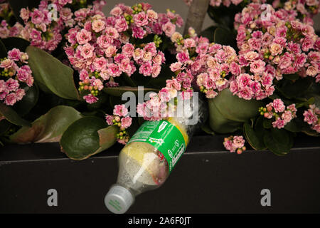 Bouteille en plastique avec un aliment à l'intérieur de l'enrubanneuse, vu dans entre fleurs d'une plante dans la ville de Londres au cours de l'automne. Banque D'Images