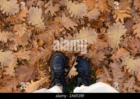 Chaussures sneakers noir debout dans une pile de feuilles, texture de fond autumnn concept saison Banque D'Images
