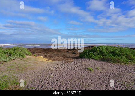 Vue sur le parc régional de la rivière Chapman sur l'Océan Indien à Geraldton, Australie occidentale Banque D'Images