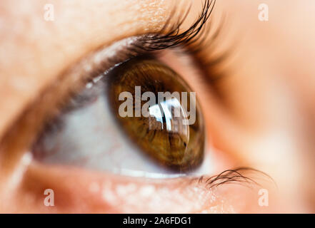 Close up de l'œil humain à l'avant Banque D'Images