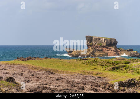 Table du Diable (Devil's Table) dans la savane des Petrifications en Martinique Banque D'Images