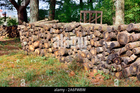 Pile pile de grumes pour bois de chauffage des ménages à Istra, Croatie Banque D'Images