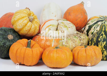 Une sélection de citrouilles et courges d'automne Banque D'Images