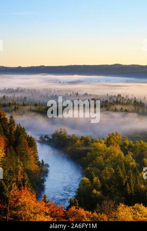 Dans l'estuaire de la Loisach Isar, Pupplinger Au au lever du soleil, la nature Réserver Isarauen, entre traite et Wolfratshausen, Haute-Bavière, Bavière, Allemagne Banque D'Images