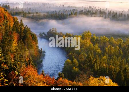 Dans l'estuaire de la Loisach Isar, Pupplinger Au au lever du soleil, la nature Réserver Isarauen, entre traite et Wolfratshausen, Haute-Bavière, Bavière, Allemagne Banque D'Images