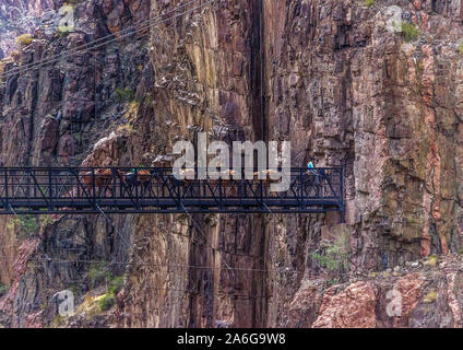 Le pont noir ou le pont suspendu de noir au fond du Grand Canyon sur la rivière Colorado au sud du sentier Kaibab Banque D'Images