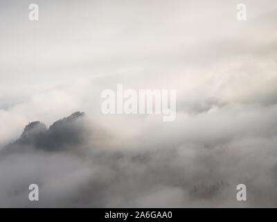 Dans la brume lourde magnifique paysage. Automne brouillard crémeux en campagne. Banque D'Images