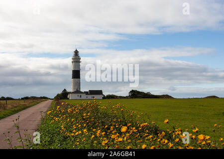 Leuchtturm Kampen à l'île de Sylt en Allemagne avec l'automne jaune fleurs en premier plan Banque D'Images