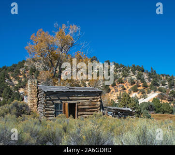 Vieille cabane en rondins ou maison au milieu de nulle part Colorado. Si solitaire et isolé, mais très pittoresque. Je suis sûr que cette vieille cabane pourrait raconter des histoires. Banque D'Images