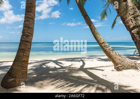 Plage blanche, palmiers et mer turquoise à San Juan, ÎLE SIQUIJOR, Philippines. Banque D'Images