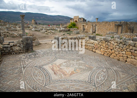 Sol de mosaïque à ruines romaines de Volubilis au Maroc Banque D'Images