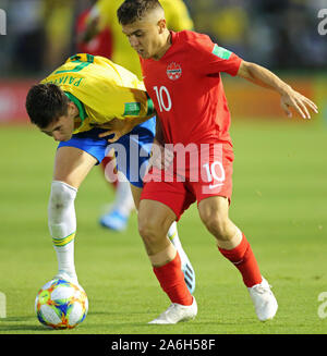 Brasilia, Brésil. 27 Oct, 2019. 26 octobre 2019 ; Bezerrao Stadium, Brasilia, District fédéral, au Brésil ; Coupe du Monde U-17 DE LA FIFA, brésil 2019, le Brésil et le Canada ; du Brésil et Patryck Matthieu Catavolo du Canada s'affrontent pour le bal - usage éditorial : Action Crédit Plus Sport Images/Alamy Live News Banque D'Images