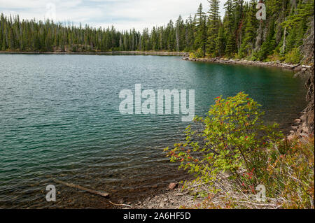 Inférieur du lac, l'un des dizaines de lacs alpins dans le lac Olallie Scenic Area, est une courte demi-mile randonnée sur le sentier du lac Poisson # 717 Banque D'Images