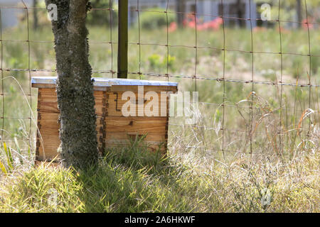 Ruche apiculture Banque D'Images