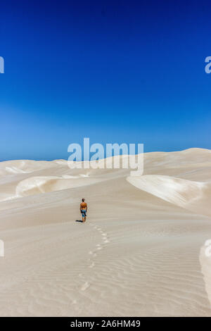 Jeune homme marche sur les dunes de sable sans fin et large, Nullabor Dessert, Australie Banque D'Images