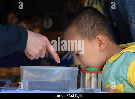 (191027) -- BEIJING, 27 octobre, 2019 (Xinhua) -- un enfant observe des plantes aquatiques en vertu de l'instruction d'un membre du personnel pendant un festival d'observation de la nature, à Beijing, capitale de la Chine, le 26 octobre 2019. Le coup d'envoi du festival d'observation de la nature à Beijing Haidian Park le samedi. Environ 16 équipes participantes choisissent les sites d'observation à Beijing, et noter l'information sur les espèces de la flore et de la faune afin de fournir des données qui pourraient être utilisées pour la recherche sur la biodiversité et la protection. Le festival comprend aussi d'autres activités visant à améliorer la sensibilisation des résidents de la protection écologique. (Yucheng Garden Banque D'Images