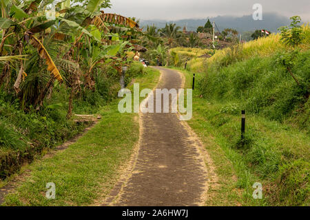 Voie d'asphalte à travers les champs de riz tropicaux et des cocotiers en zones rurales montagneuses de Bali Banque D'Images