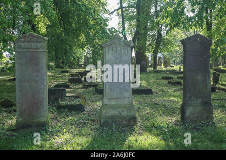 Le cimetière Mennonite est vu dans Malborskie Stogi (Pologne), le 18 mai 2019 Village de Stogi a été fondée en 1562 dans le domaine de l'Zulawy), et 3 ans plus tard a été loué pour les colons hollandais, les Mennonites. Les Mennonites sont adeptes d'un mouvement religieux, une faction de l'anabaptisme, qui a été créé aux Pays-Bas au 16e siècle © Michal Fludra / Alamy Live News Banque D'Images