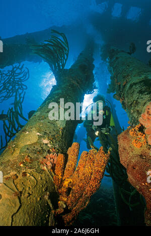 Scuba Diver en vertu de la jetée de sel entre piliers, envahi par la société Cargill Salt, Bonaire, Antilles néerlandaises Banque D'Images