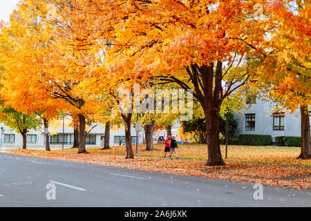 Salem, Oregon - 27 octobre 2019 : Scène de Oregon State Capitol State Park en automne Banque D'Images
