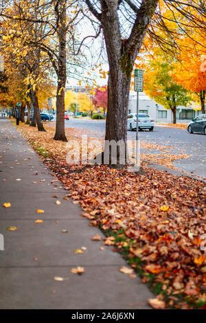 Salem, Oregon - 27 octobre 2019 : Scène de Oregon State Capitol State Park en automne Banque D'Images